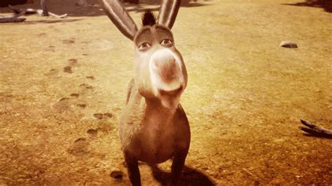 hmar meaning in arabic|‘Ya hmar’ and 9 other animal insults Arabs use.